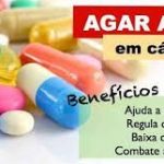 AGAR AGAR 500mg C/60 CAPSULAS - Imagem 2