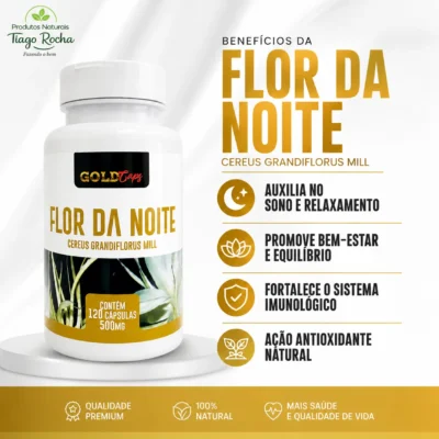Flor da Noite 500mg 60 cáps