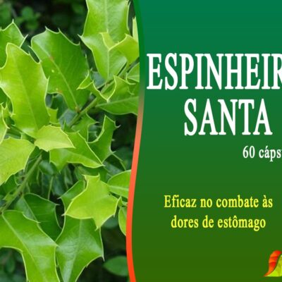 ESPINHEIRA SANTA – 60 Cápsulas 500mg