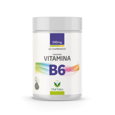 VITAMINA B6 Piridoxina – 60 cápsulas 500mg