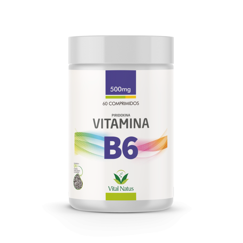 VITAMINA B6 Piridoxina – 60 cápsulas 500mg