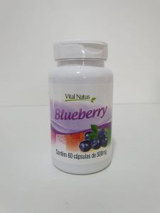 IMUNIDADE – Blueberry Mirtilo 500mg- A fruta da longevidade – Rico em Vitamina C