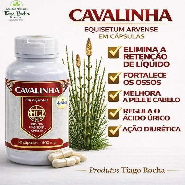 Cavalinha – Urinário e Próstata 500mg 60 cáps.