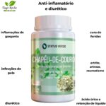 Diurético anti-inflamatório Chapéu de Couro cápsulas