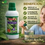 Calmante Gotas de Melissa 100 ml