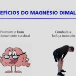MAGNESIO DIMALATO 60 Cápsulas 600mg - Imagem 2