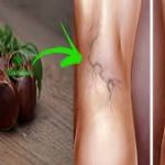 Castanha da Índia 60 Cápsulas 500 mg - Imagem 2