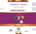 Ginkgo Biloba vn – 60 Cápsulas 500mg (elixir natural para a saúde mental) - Imagem 2