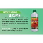 GLICOPLAN 500ML – Diabetes, pâncreas. - Imagem 2