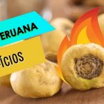 MACA PERUANA TIAGO ROCHA- 60 Cápsulas 500 mg (Aumenta desejo sexual – libido) - Imagem 2