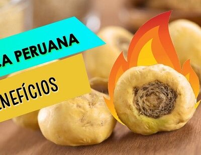 MACA PERUANA TIAGO ROCHA- 60 Cápsulas 500 mg (Aumenta desejo sexual – libido)