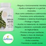 INIBIDOR DE APETITE SPIRULINA – 60 Cápsulas 500mg - Imagem 2