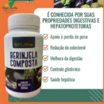 BERINJELA 500 MG C/ 60 CAPSULAS - Imagem 1