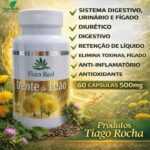 DENTE DE LEÃO-60cápsulas (DIURÉTICO, ANTI-INFLAMATÓRIO E ANTIOXIDANTE) - Imagem 1