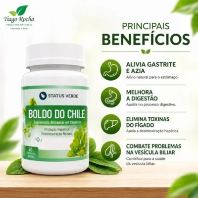 Boldo do Chile – Digestão, Fígado, Vesícula e Estômago 500mg 60cáps
