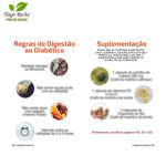 LIVRO “O PÂNCREAS DOENTE” DIABETES - Imagem 2