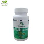 Centella Asiática 60 Cápsulas 500mg - Imagem 1