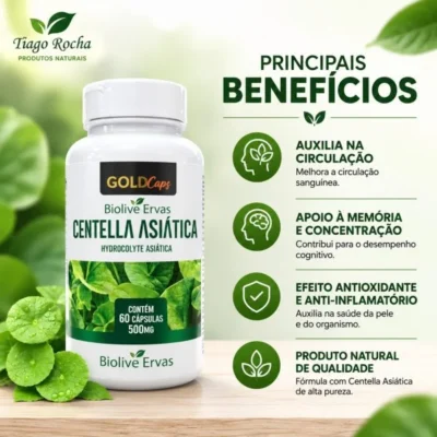 Centella Asiática – Circulação e Saúde Vascular 500mg 60cáps