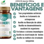 Lisina c Vitaminas 90 comprimidos 1000mg - Imagem 1