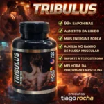 Sexual 99% Saponinas Tribulus Terrestris 120 Cáps - Imagem 1