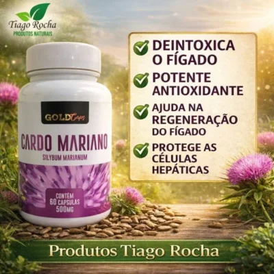 Cardo Mariano 500mg 60cáps. – GoldCaps