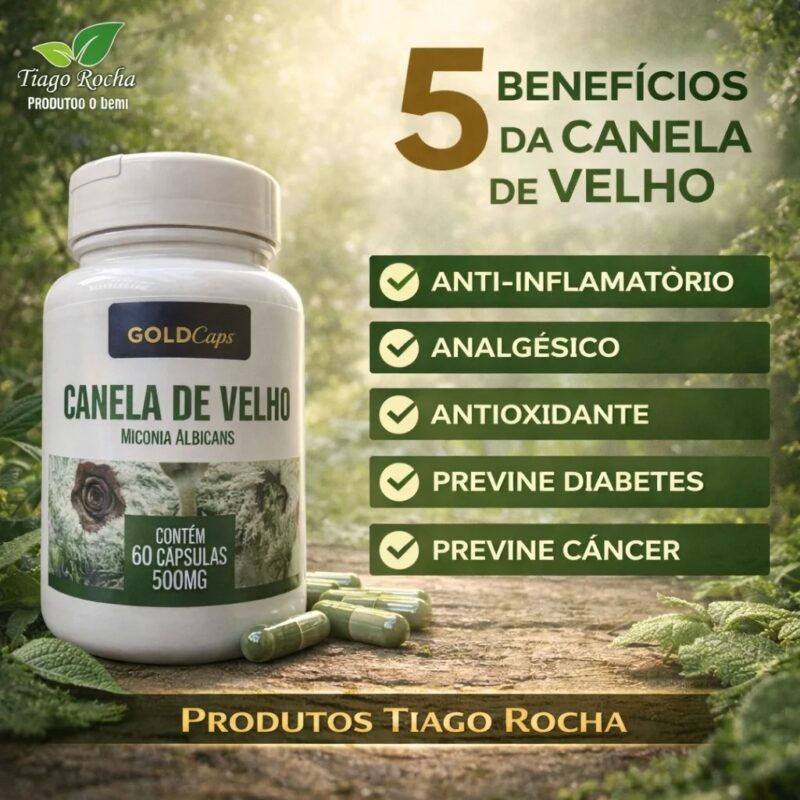Canela de Velho Anti-inflamatório Natural 500mg 60cáps.